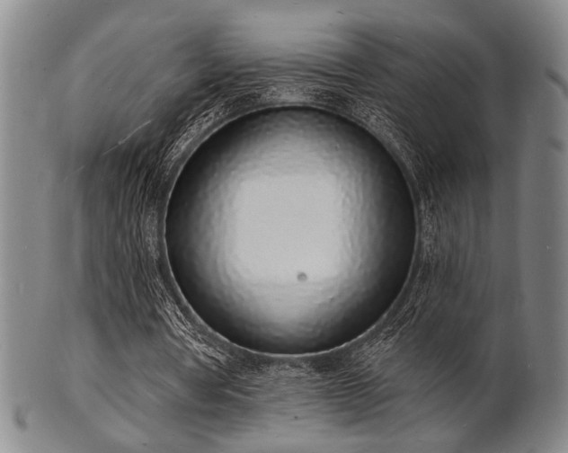 X0000101690386200807101518