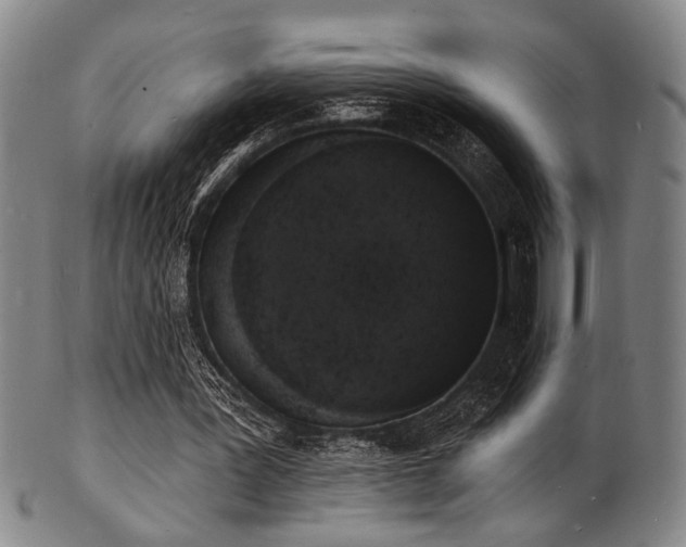 X0000101690387200807101518