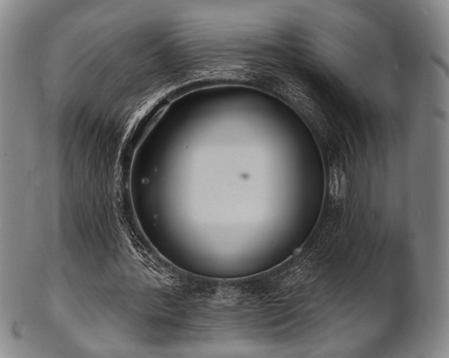 X0000101690388200807101518