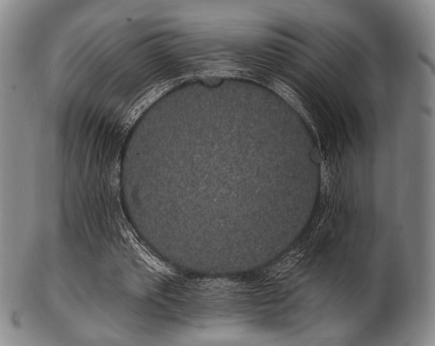 X0000101690389200807101518