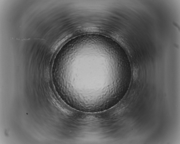 X0000101690390200807101518