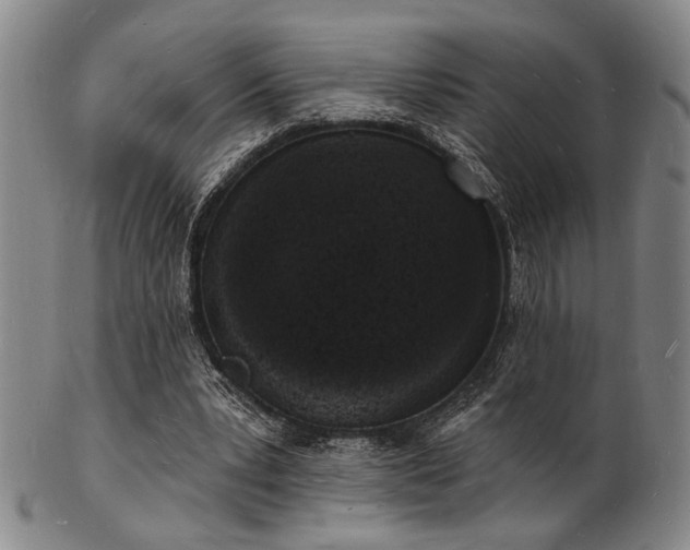 X0000101690391200807101518