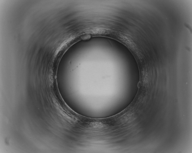 X0000101690392200807101518