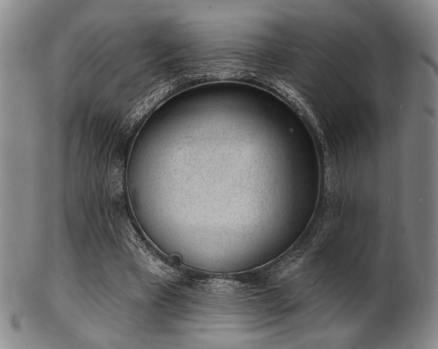 X0000101690393200807101518