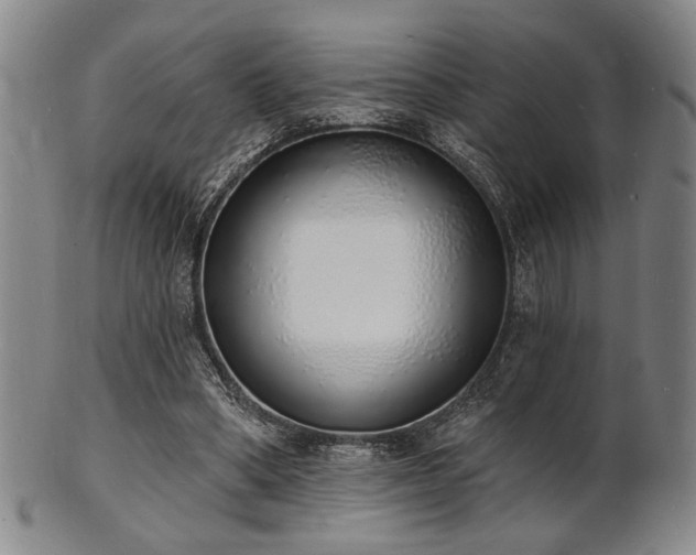 X0000101690394200807101518