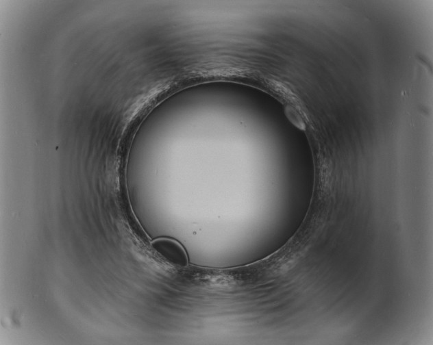 X0000101690395200807101518