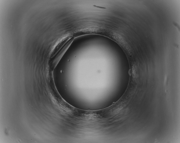 X0000101690396200807101518