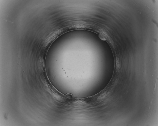 X0000101690397200807101518