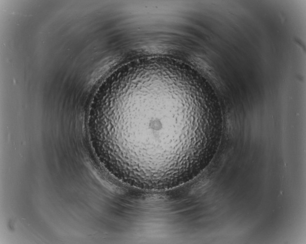 X0000101690398200807101518