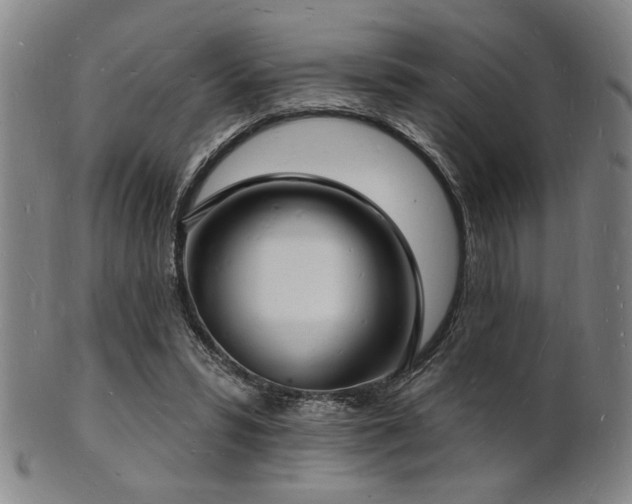 X0000101690399200807101518