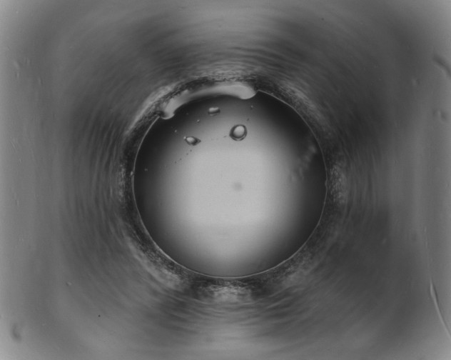 X0000101690400200807101518