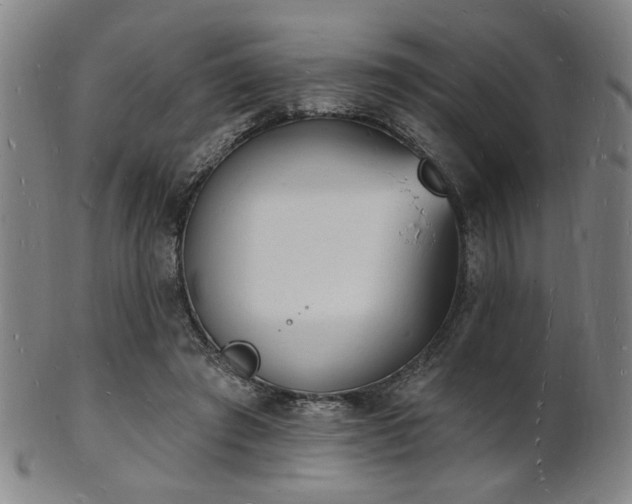 X0000101690401200807101518