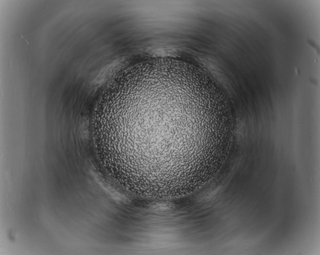 X0000101690402200807101518