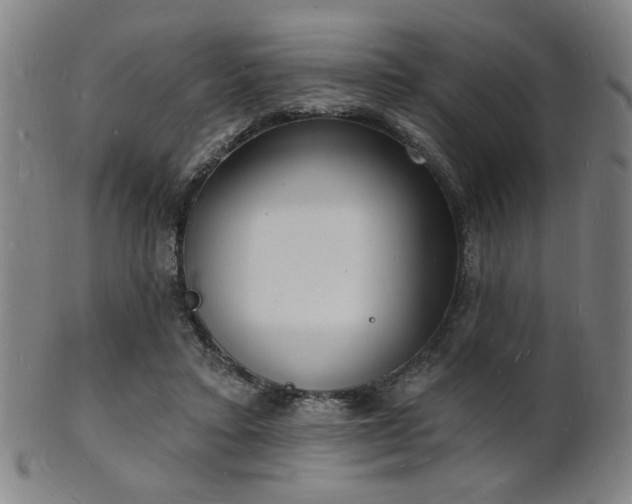 X0000101690403200807101518