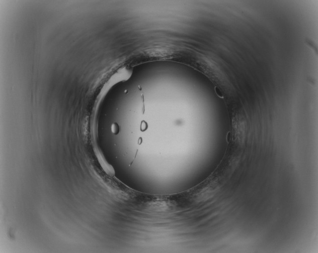 X0000101690404200807101518