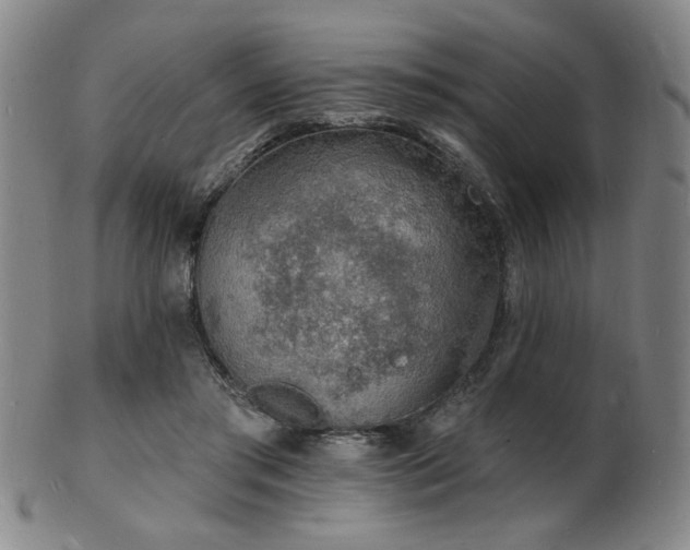 X0000101690405200807101518