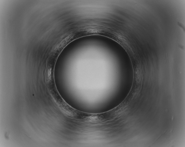 X0000101690406200807101518