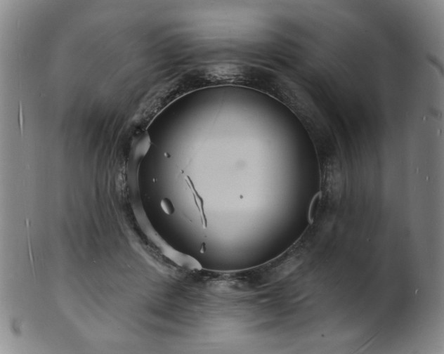 X0000101690408200807101518