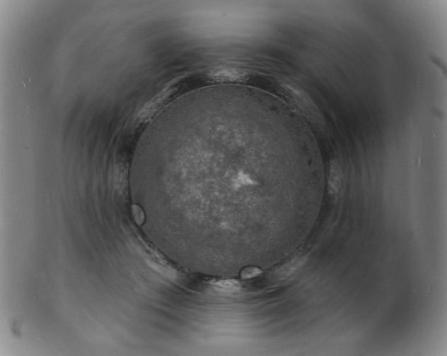 X0000101690409200807101518