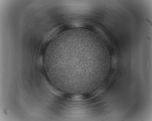 X0000101690410200807101518