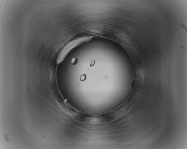 X0000101690412200807101517