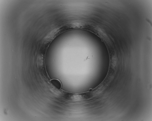 X0000101690413200807101517