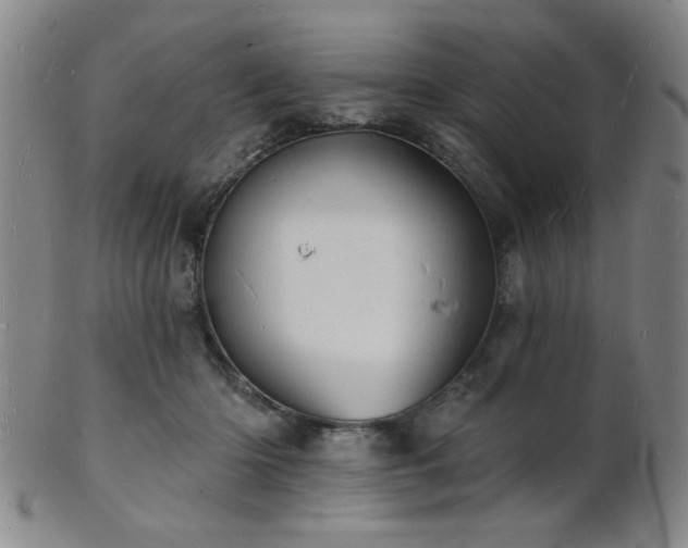 X0000101690414200807101517