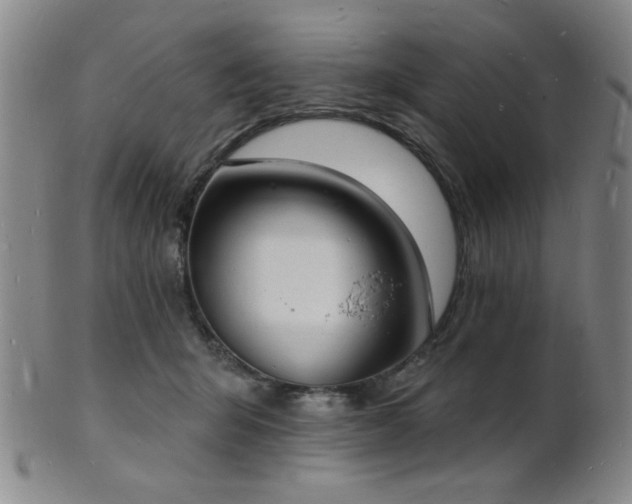 X0000101690415200807101517