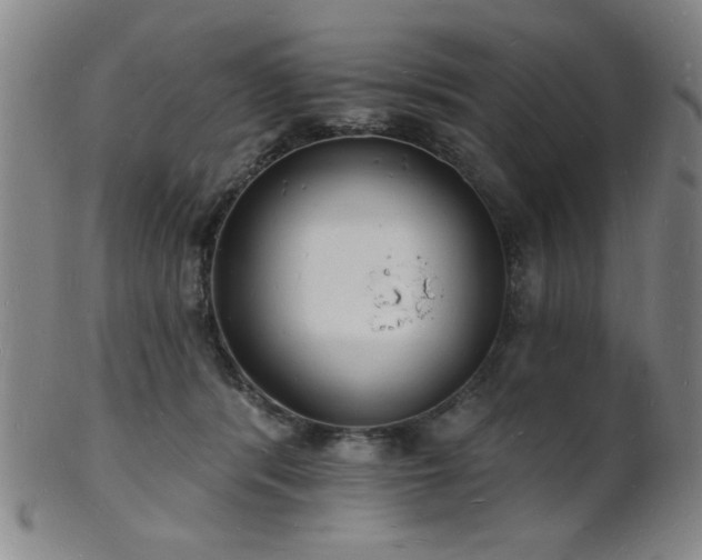 X0000101690416200807101517