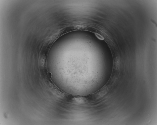 X0000101690417200807101517