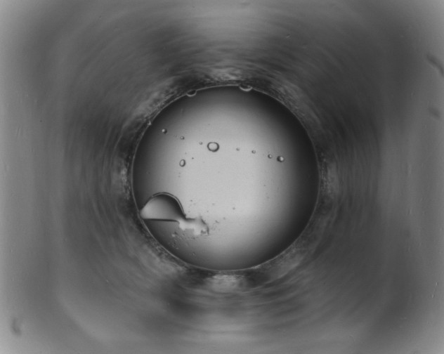 X0000101690418200807101517