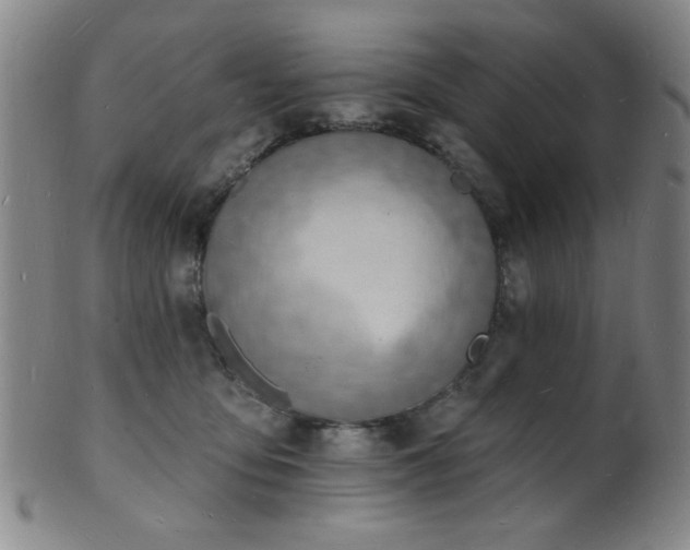 X0000101690419200807101517