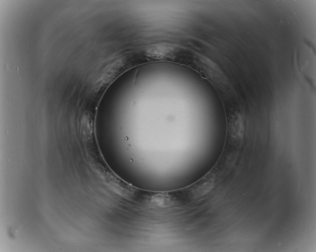 X0000101690420200807101517