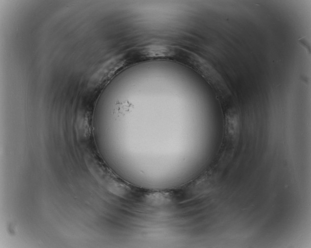 X0000101690422200807101517