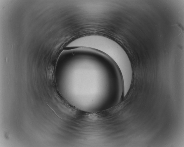 X0000101690423200807101517