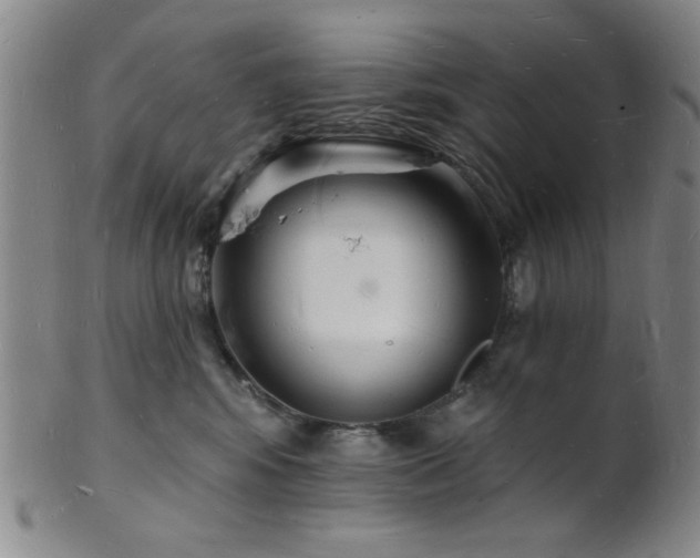 X0000101690424200807101517