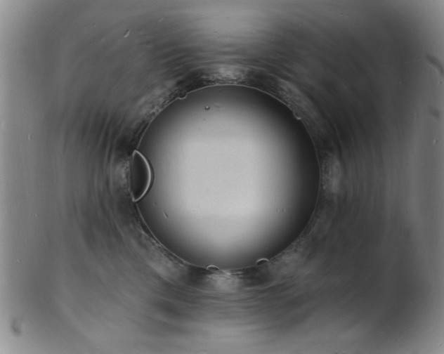 X0000101690425200807101517