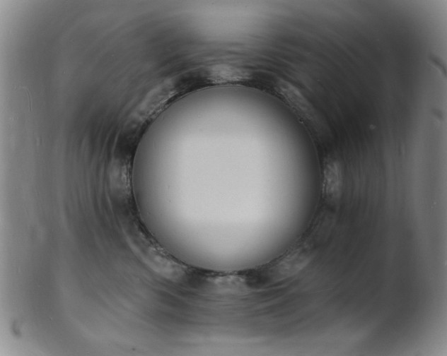 X0000101690426200807101517