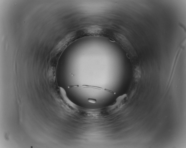 X0000101690428200807101517