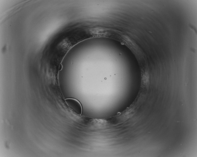 X0000101690429200807101517