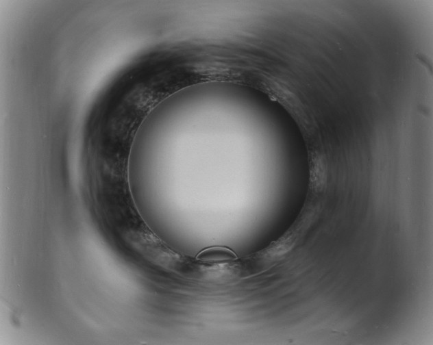 X0000101690430200807101517