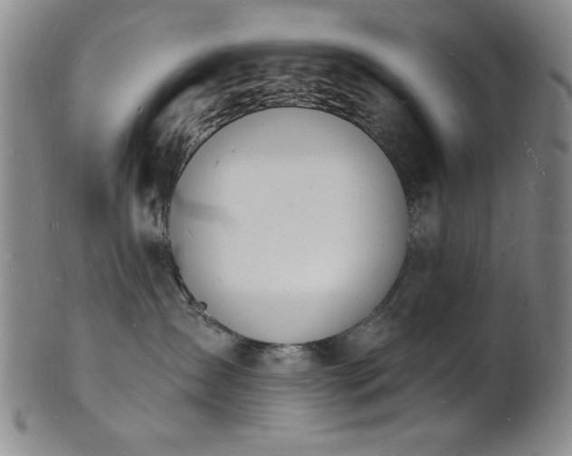 X0000101690431200807101517