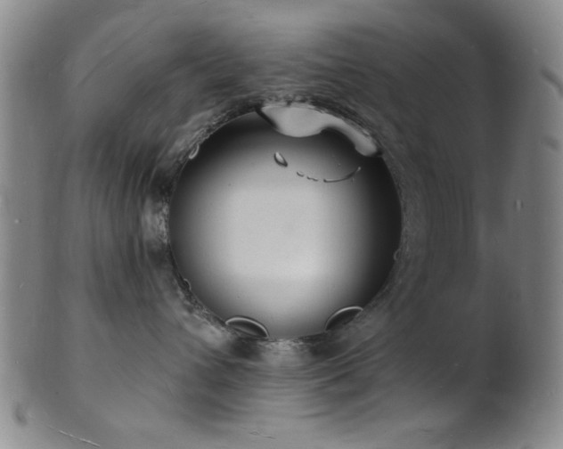 X0000101690432200807101517