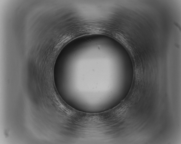 X0000101690433200807101516