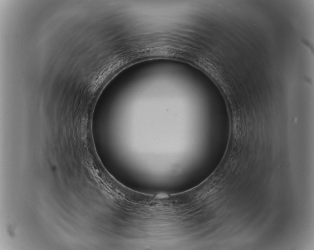 X0000101690434200807101516