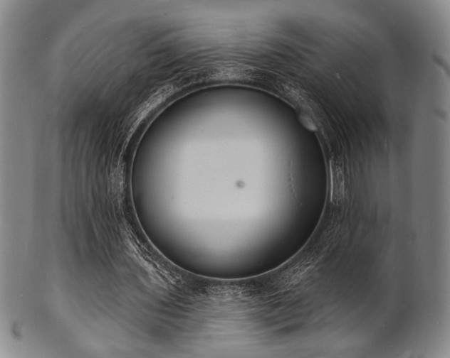 X0000101690435200807101516