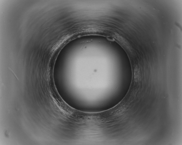 X0000101690436200807101516