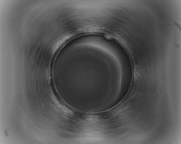 X0000101690438200807101516