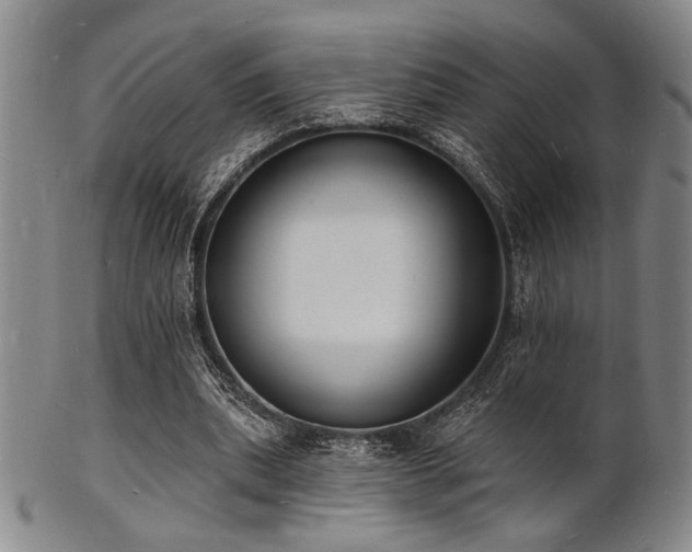 X0000101690439200807101517