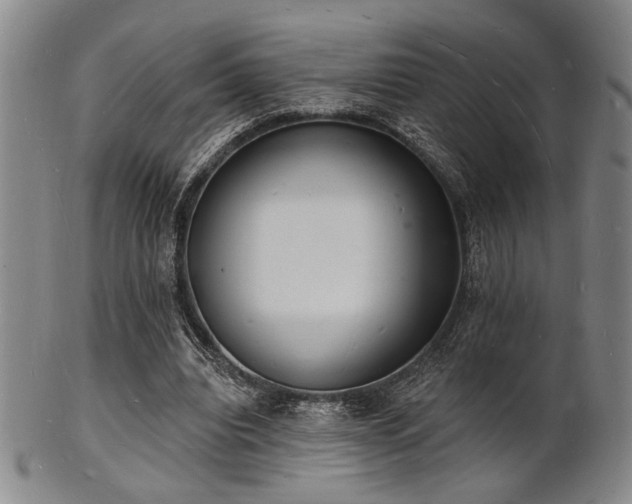 X0000101690440200807101517